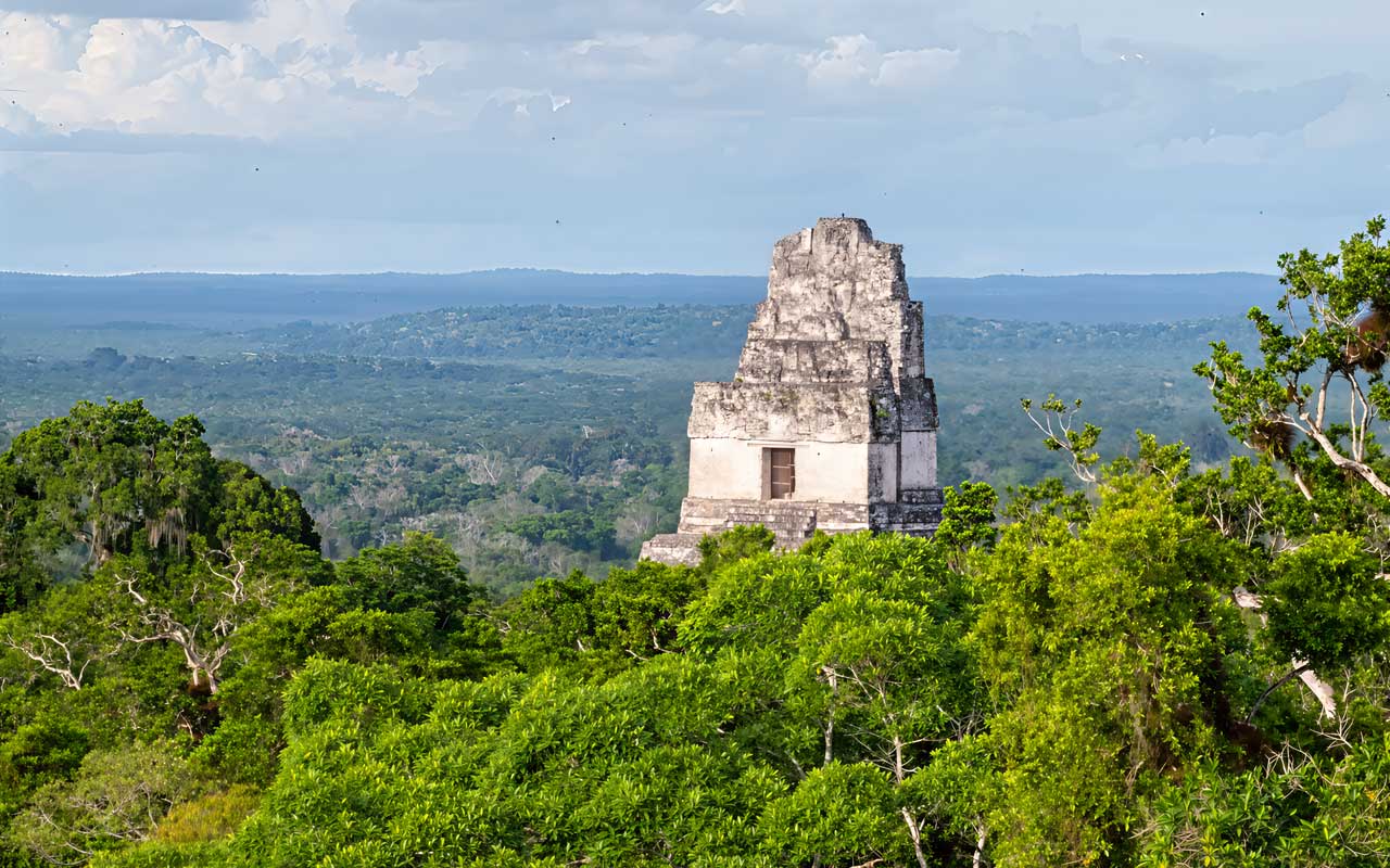 Great-Jaguar-Temple-Tikal The Great Jaguar Temple of Tikal rising above a sea of tropical forest canopy at sunrise — one of the most iconic Mayan ruins in Belize and Guatemala.