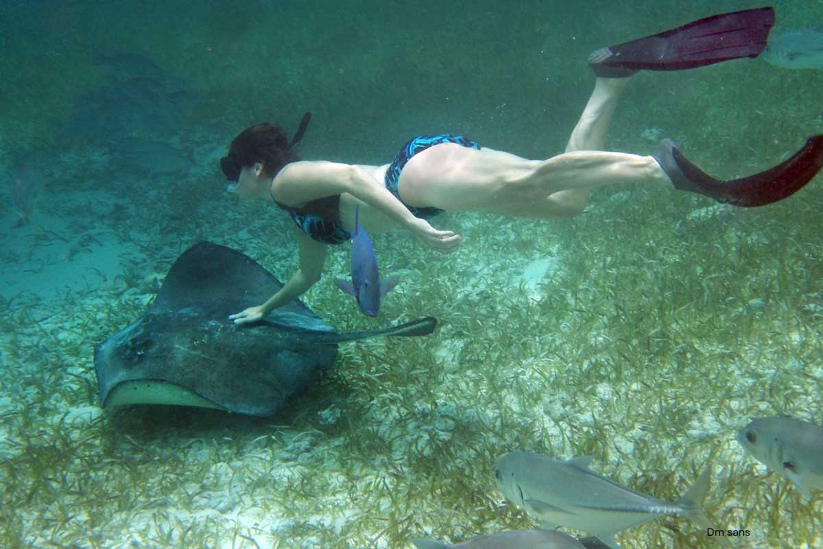 Snorkeling-in-the-reef - Authentic Travel Belize A woman snorkeling on her honeymoon meets a graceful ray in the Belize Barrier Reef, showcasing marine adventures in Belize vacation packages for couples.