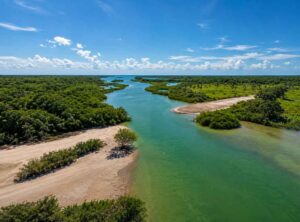 Copper-Bank - Authentic Travel Belize Aerial view of a winding river through lush marshland with sandy banks and a bright blue sky.