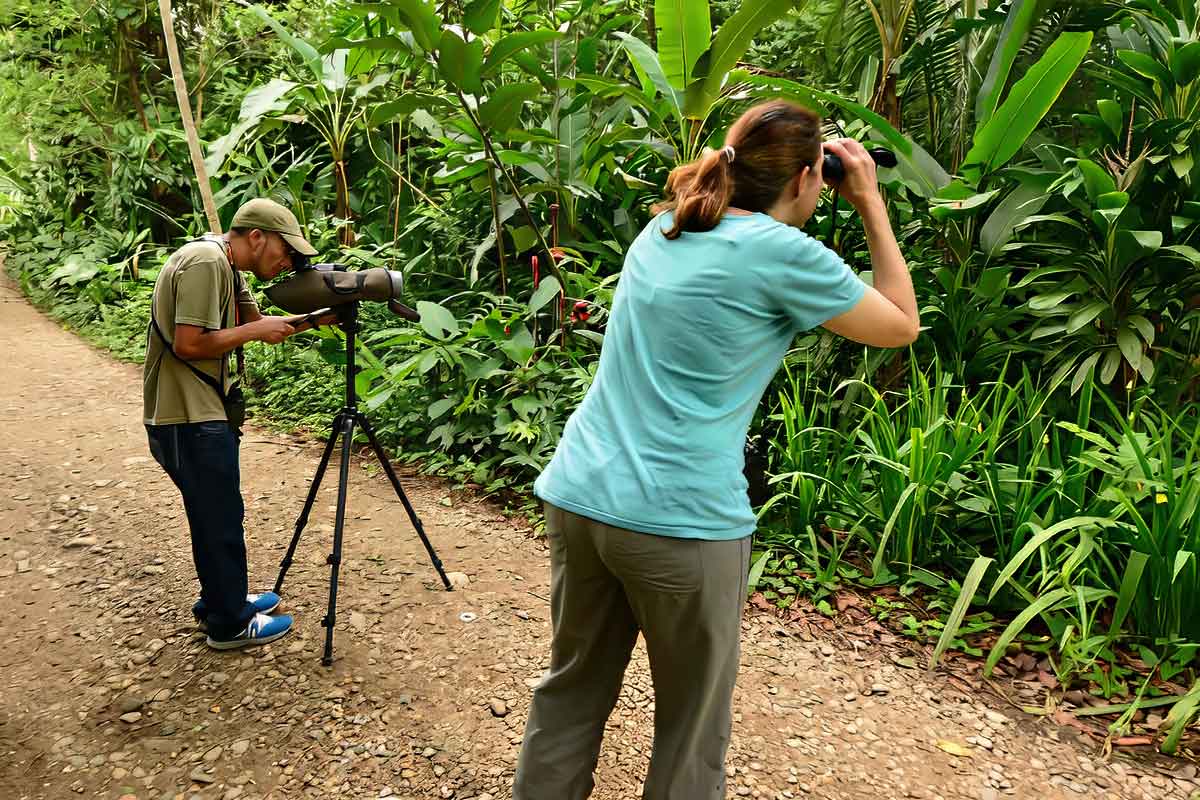 Belize-Birding-Expeditions - Authentic Travel Belize Travelers birdwatching with binoculars and a spotting scope in the Belize rainforest during a Belize luxury and boutique travel experience.