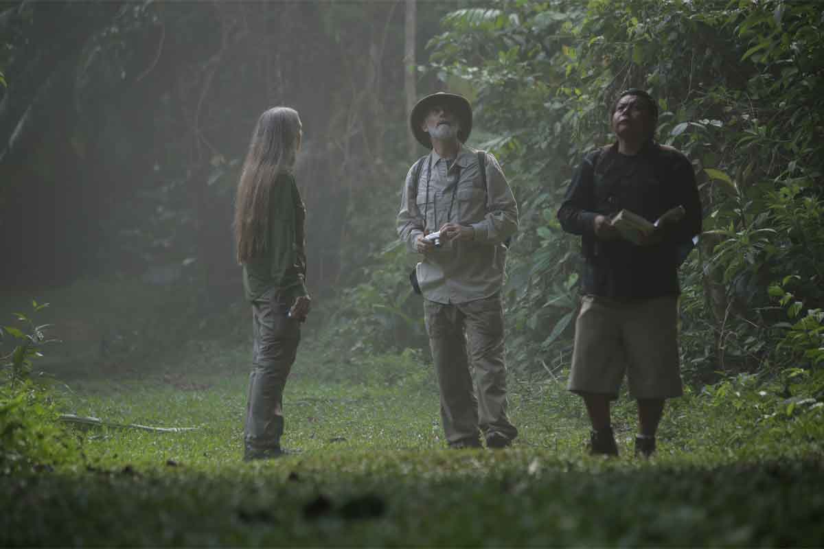 Expert-guides - Authentic Travel Belize Expert guide leading travelers through the Belize rainforest as part of a Belize luxury and boutique travel experience.