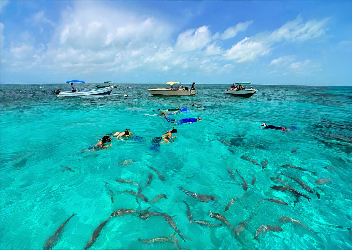 HolChan-Marine-Park - Authentic Travel Belize Belize Reef & Snorkeling Vacations: snorkelers swim in clear turquoise water beside small boats, with tropical fish visible below and a bright blue sky overhead.