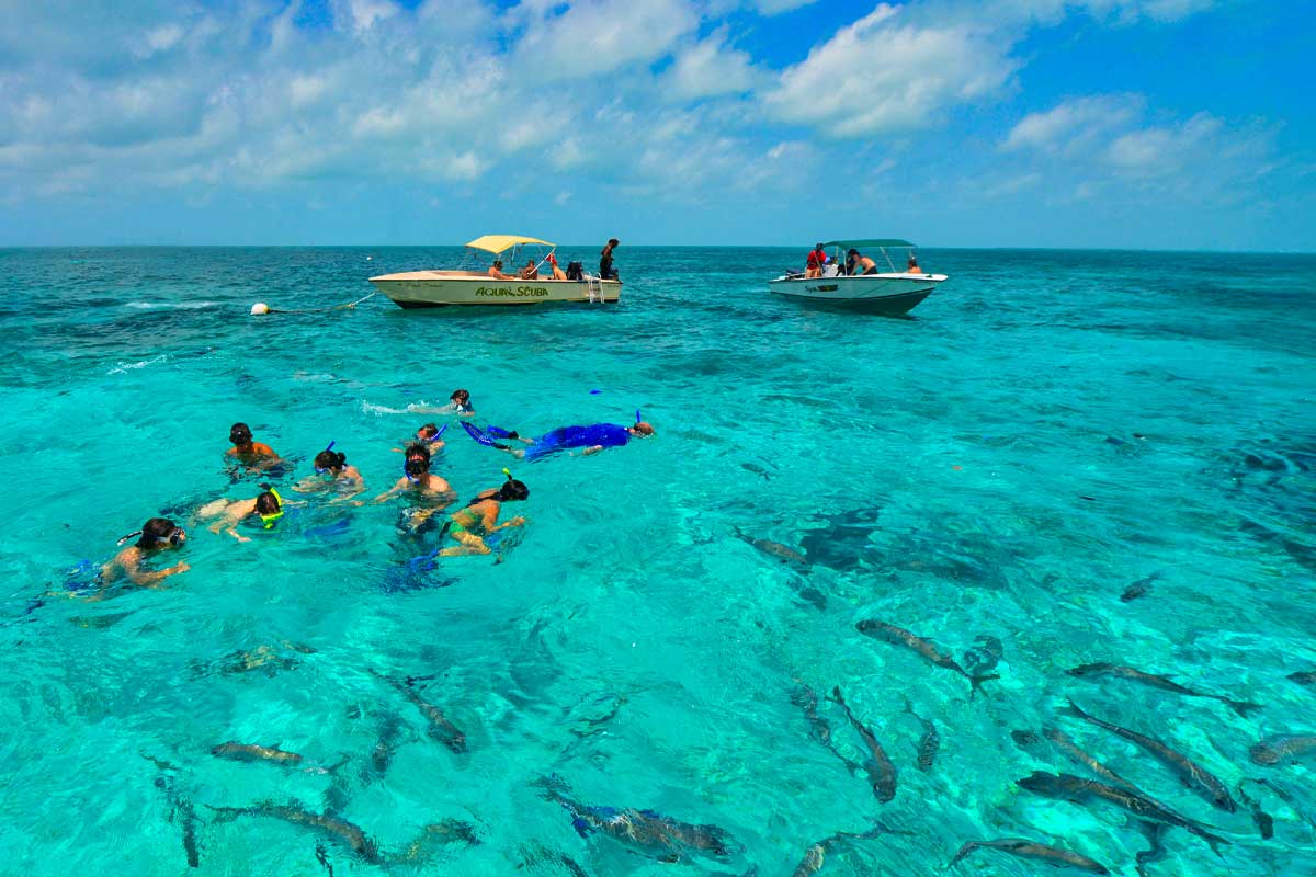 Honemoon-Placencia - Authentic Travel Belize Groups enjoying snorkeling in Hol Chan Marine Park inside the Belize Barrier Reef, with two boats anchored nearby, showcasing Belize snorkeling and diving experiences.